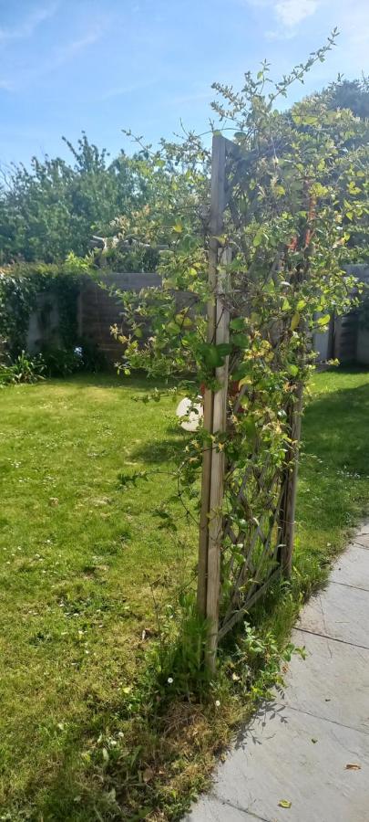 Au Gre Des Vents Bed & Breakfast Saint-Quay-Portrieux Eksteriør bilde
